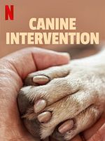 imagen de Terapia canina