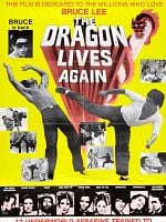 Cartel de El dragón ataca