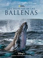 Music from Secrets of the Whales (Original Soundtrack)