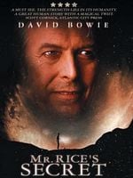 Cartel de El secreto del señor Rice