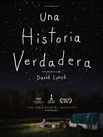 Cartel de Una historia verdadera