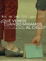 Cartel de ¿Qué vemos cuando miramos al cielo?