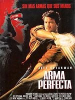 Cartel de Arma perfecta