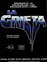 Cartel de La grieta