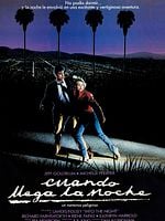 Cartel de Cuando llega la noche