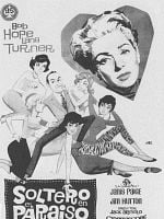 Cartel de Soltero en el paraíso