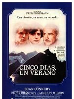 Cartel de Cinco días un verano