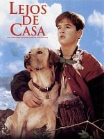 Cartel de Lejos de casa