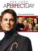 Cartel de Un día perfecto