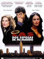 Cartel de Las dos esposas de mi marido