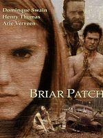 Cartel de Briar patch