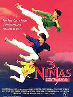 Cartel de 3 Ninjas contratacan