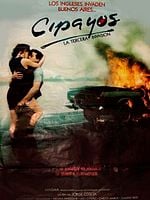 Cartel de Cipayos (la tercera invasión)