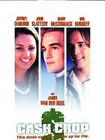 Cartel de Solución desesperada