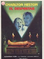 Cartel de El despertar