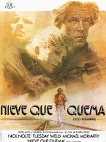 Cartel de Nieve que quema