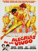 Cartel de Alegrías de un viudo