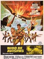 Cartel de Nido de avispas