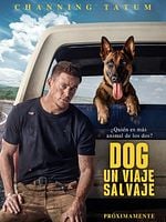 Cartel de Dog. Un viaje salvaje