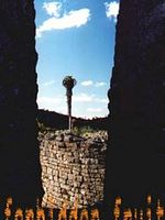 Cartel de Forbidden Fruit