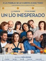 Cartel de Un lío inesperado