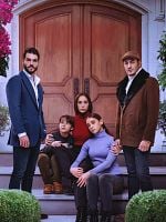 Cartel de El juego de mi destino