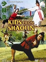 Cartel de El tempol de Shaolin 2
