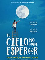 Cartel de El cielo no puede esperar