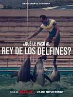 Cartel de ¿Qué le pasó al rey de los delfines?