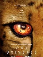 Cartel de Nuestro universo