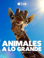 imagen de Animales a lo grande