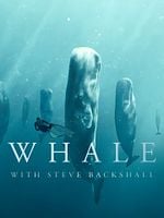 imagen de Ballenas con Steve Backshall