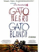 Muzika Iz Filma "Crna Macka Beli Macor"