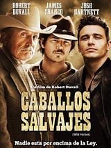 Wild Horses (Original Motion Picture Soundtrack)