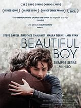 Beautiful Boy (Motion Picture Score)