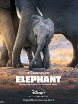 Elephant (Original Soundtrack)