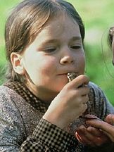 foto de Linda Bergström