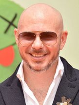 foto de Pitbull