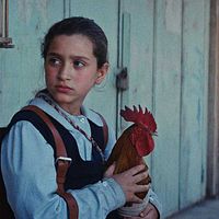 Foto Baneen Ahmad Nayyef