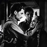 Foto Niall MacGinnis