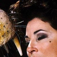 Foto Elisabeth Margoni