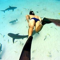 Foto Rob Stewart (II)