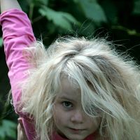 Foto Tenesee Maquignon