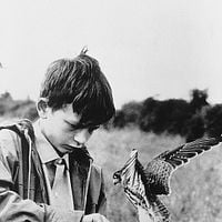 Foto David Bradley (II)