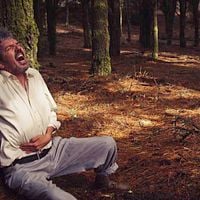 Foto Antonio Dechent