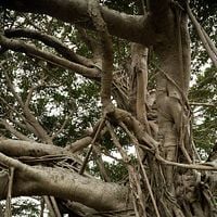 Foto Nijirô Murakami