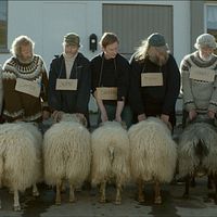 Foto Theodór Júlíusson