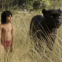 Foto Neel Sethi