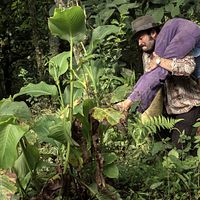Foto Tito Alexander Gómez