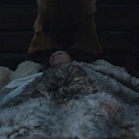 Foto Claudia Martini